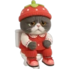 Gato fresita 🐈‍⬛🍓 22