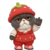 Gato fresita 🐈‍⬛🍓 23