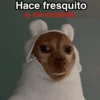 Frío ✨🥶MEMES 2 15