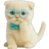 Gatito con lentes 😺👓 25