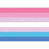 bandeiras lgbtqiapn+ 24