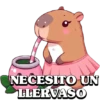 Capibaras 13