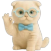 Gatito con lentes 😺👓 26