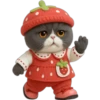 Gato fresita 🐈‍⬛🍓 24