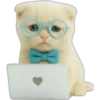 Gatito con lentes 😺👓 27
