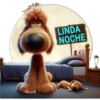 Buenas noches 2 cachorros🇲🇽 20