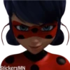 Miraculous 🐞 24