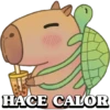 Capibaras 15