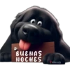 Buenas noches 1 cachorros🇲🇽 25