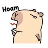 Pipi Capybara 4 25