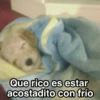 Frío ✨🥶MEMES 2 16