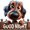 Buenas noches 1 cachorros🇲🇽 27