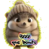 Erizos🦔💞1🇵🇪Clásica 25