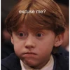 Harry potter Stickers 20