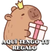 Capibaras 16
