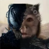 🐒⌛Various Monkey's⌛🐒 26