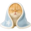 Gatito con mantita 😻🩵 28