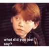 Harry potter Stickers 24