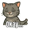 My cat memes 😂🐈 12