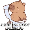 Capibaras 17