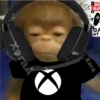 🐒⌛Various Monkey's⌛🐒 27