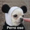 Frío ✨🥶MEMES 2 17