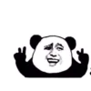 Chinese Panda 23