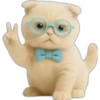 Gatito con lentes 😺👓 29