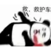 Chinese Panda V2 23