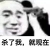 Chinese Panda 26