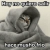 Frío ✨🥶MEMES 2 18