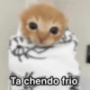 Frío ✨🥶MEMES 2 19
