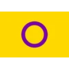 bandeiras lgbtqiapn+ 29