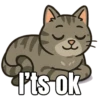 My cat memes 😂🐈 13