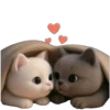 Piko y Paya💞1🇵🇪Clásica 30