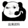 Chinese Panda V2 24