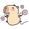 Pipi Capybara 4 29