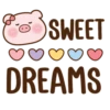 🐷 Pink Pig 2 English💖C☆ 20