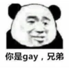 Chinese Panda 29