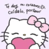 🐱•🎀Hello Kitty Notas🎀•🐱 15