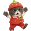 Gato fresita 🐈‍⬛🍓 28