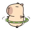 Pipi Capybara 4 30