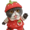 Gato fresita 🐈‍⬛🍓 30