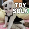 🔥𑄝GATOS HORNY/HORNY CATS𑄝🔥 1