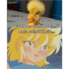 memes e frases 6