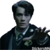 Harry Potter 🧙‍♂️ 5