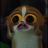 mort 6