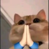 Meoong 4 5