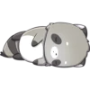 Raccoon Moods 4