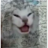 Meoong 4 6